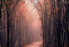 开云体育平台APP-奥运惊天冷门！英格兰点球憾负拜仁，凯恩反戈一击引爆全球论战